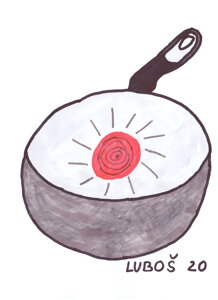 Tefal pánev wok 