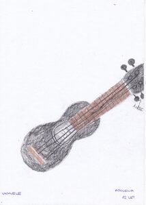 Hudební nástroj Ukulele