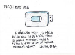 FLASH DISK