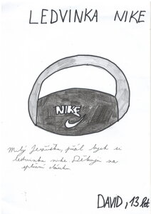 ledvinka NIKE