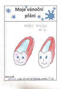 Zvířecí papučky, vel. 38