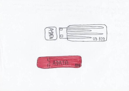 2X FLASH DISK